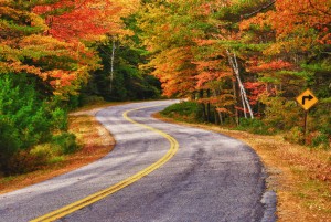Image - a winding road curves through autumn trees in New England.